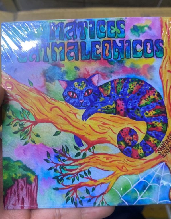 Discos en Fisico